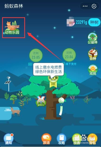 支付宝蚂蚁森林如何申请动物保护地
