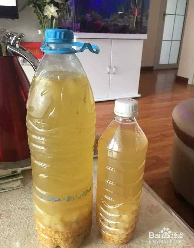 家里养花肥料不用买，在家自制有机肥
