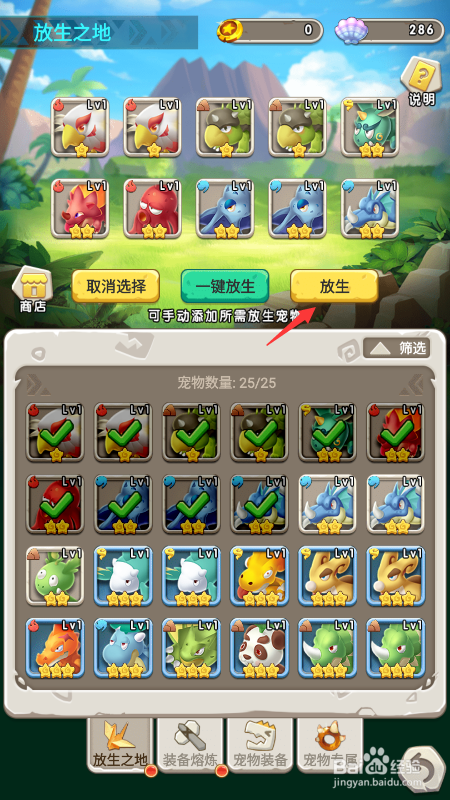 兽兽军团宠物怎么放生