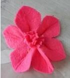 制作一朵六瓣花的方法与过程