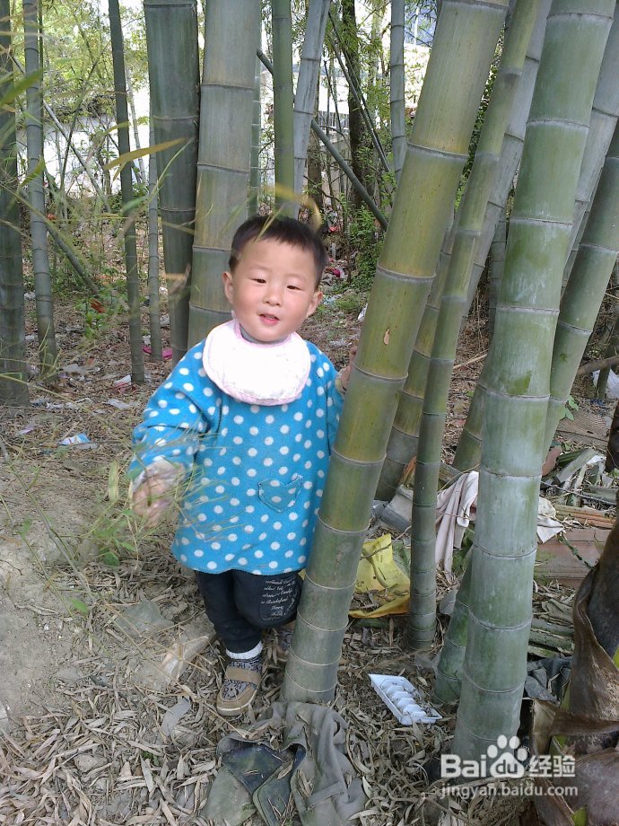 27个月宝宝成长微记录