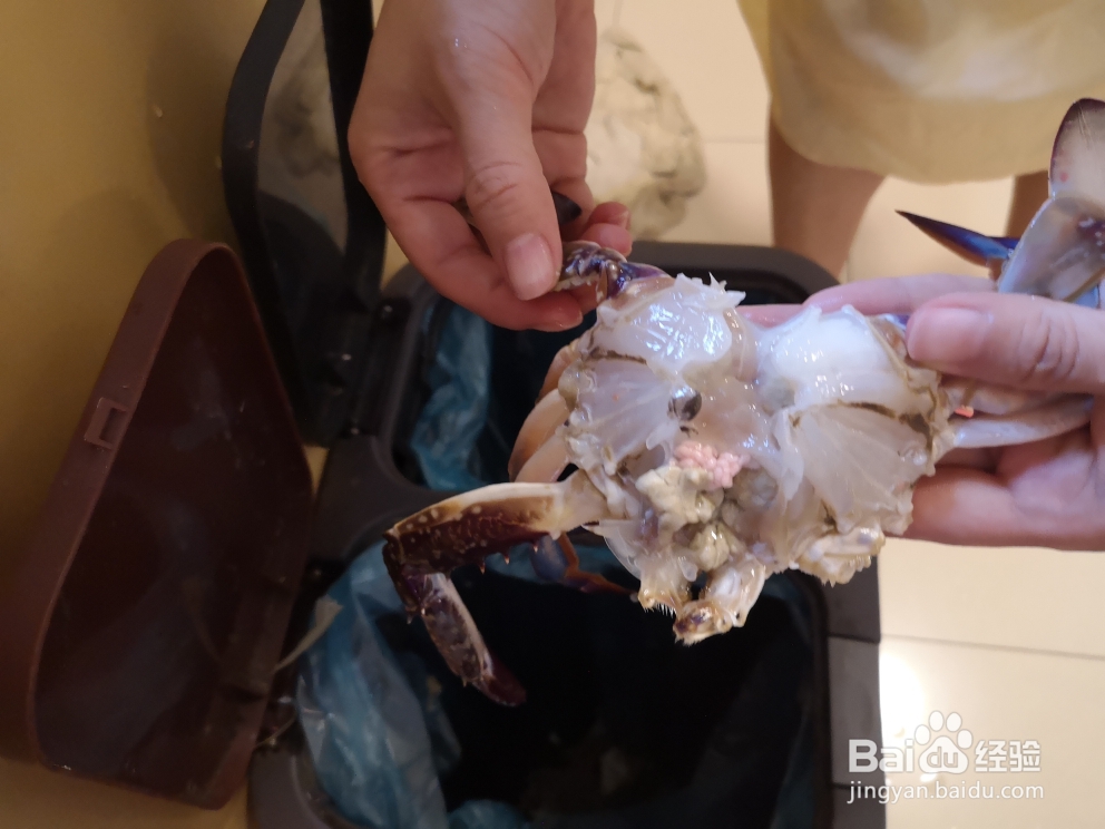 简单快捷的葱姜梭子蟹