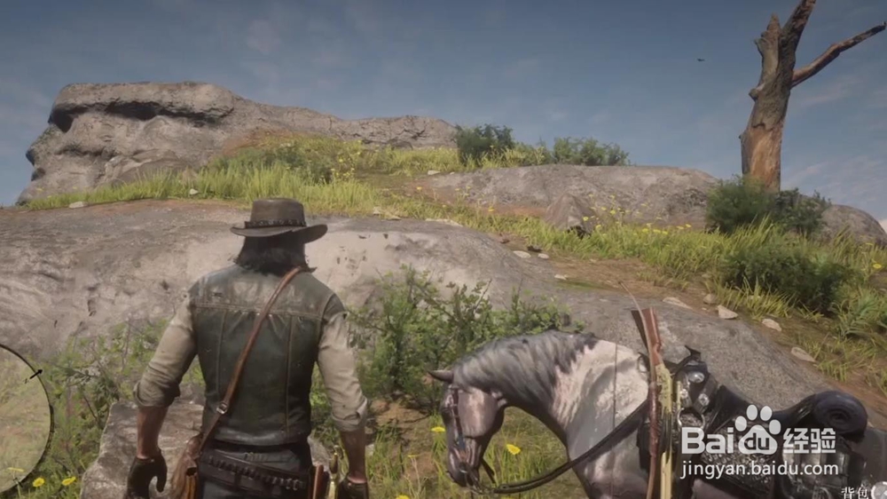 荒野大镖客2毒蛇之痕藏宝图位置 宝藏获取方法