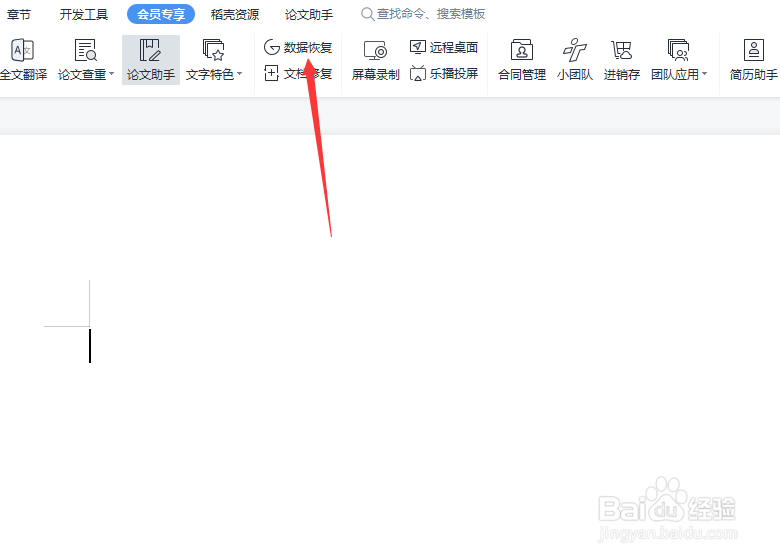 WPS数据恢复功能在哪里