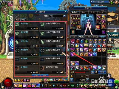 dnf泽丁施奈德全解析