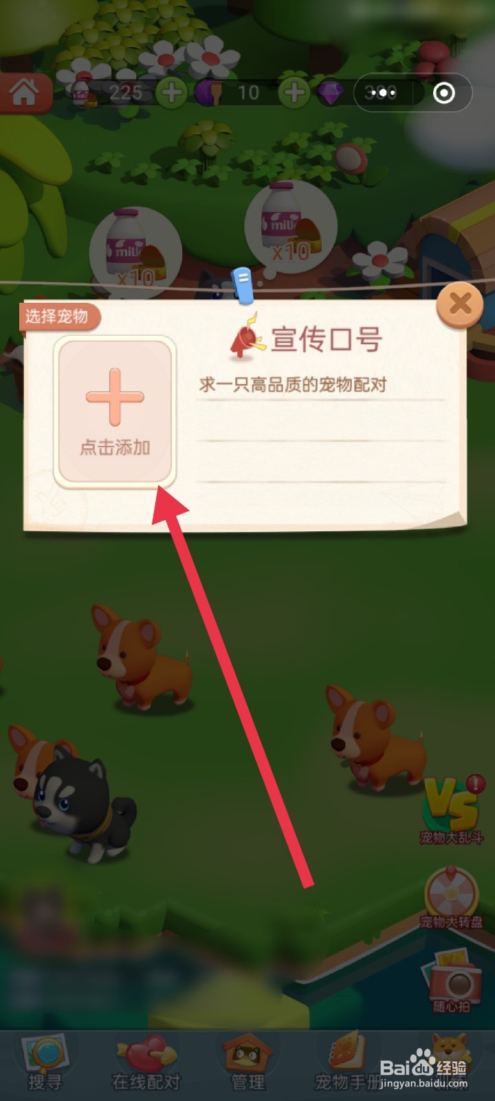 山海小镇如何“发送”宠物配对消息