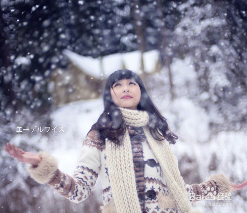 漂亮唯美的雪景照相技巧