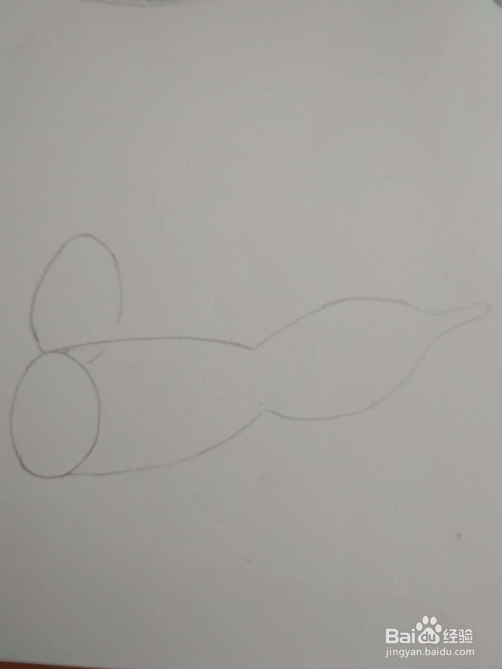 多妈简笔画蔬菜两段藕
