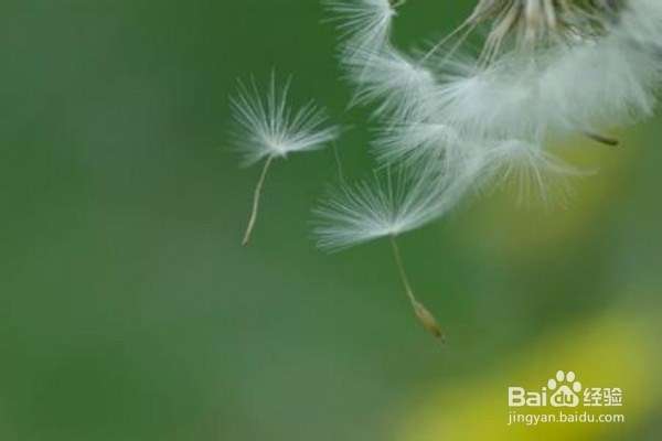 生活小知识--胃疼怎么办？