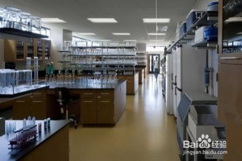 生命科学专业该怎样找工作