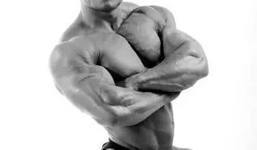 平板支撑省力技巧