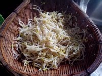 凉拌绿豆芽的简单做法