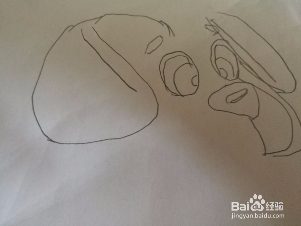 小狗的简笔画步骤