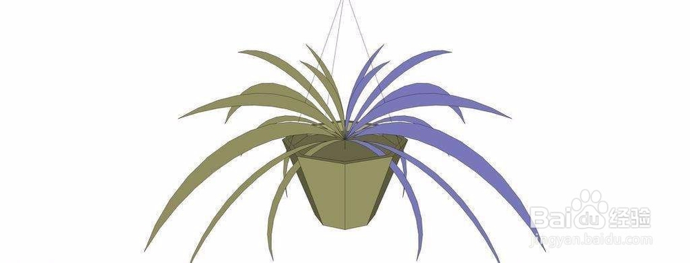 适合室内的防辐射植物之小小盆栽类