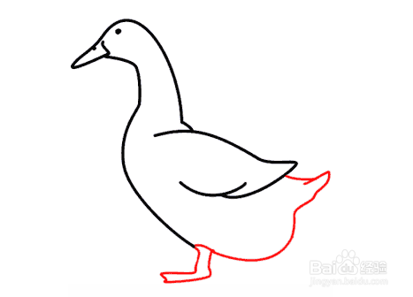 一步一步教你画鸭子图片