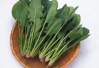 男人的长寿秘诀是什么？(二）