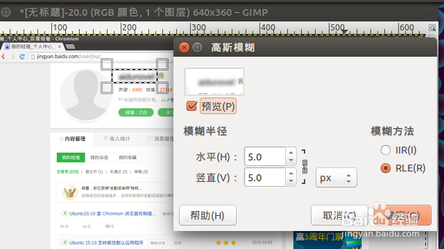 用 GIMP “模糊”滤镜处理经验插图中的敏感内容