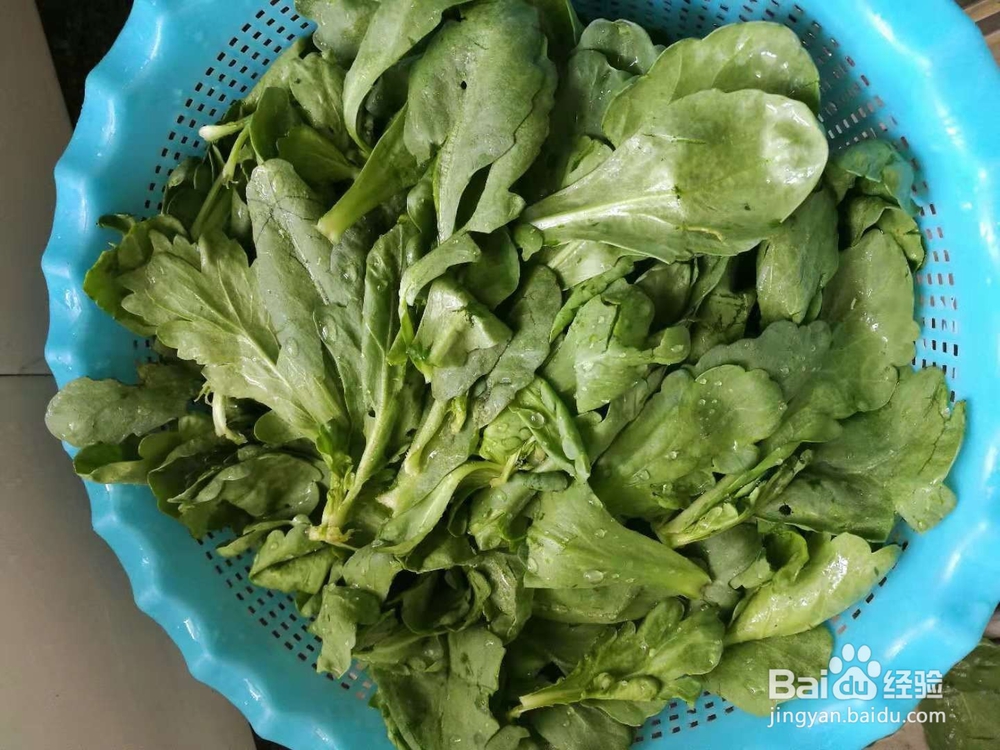 自制辣椒酱拌菊花菜