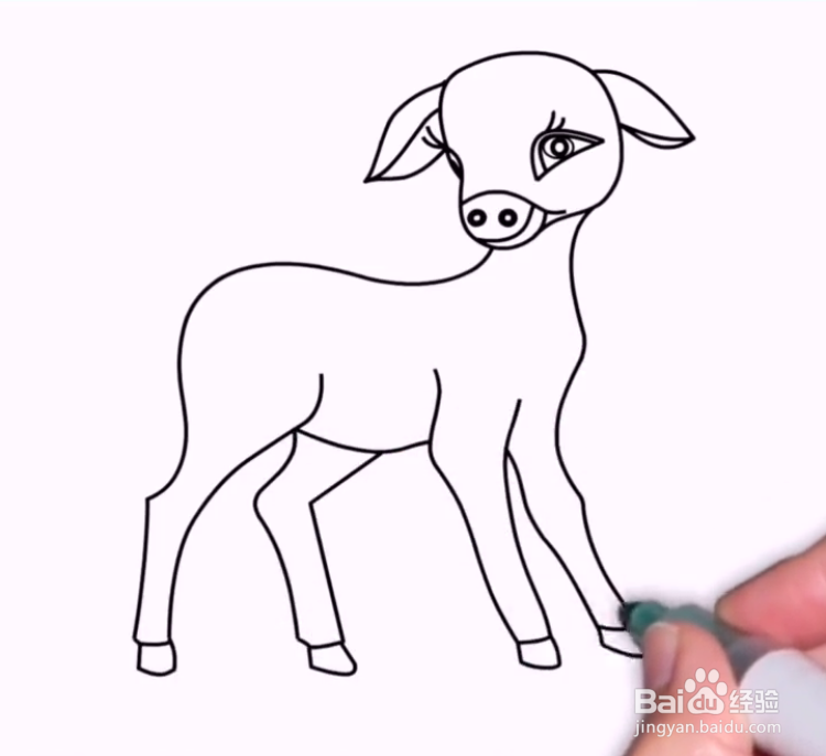 如何画小羊