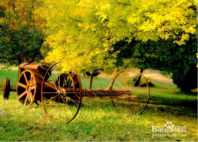 美国​皮玛社区学院申请情况