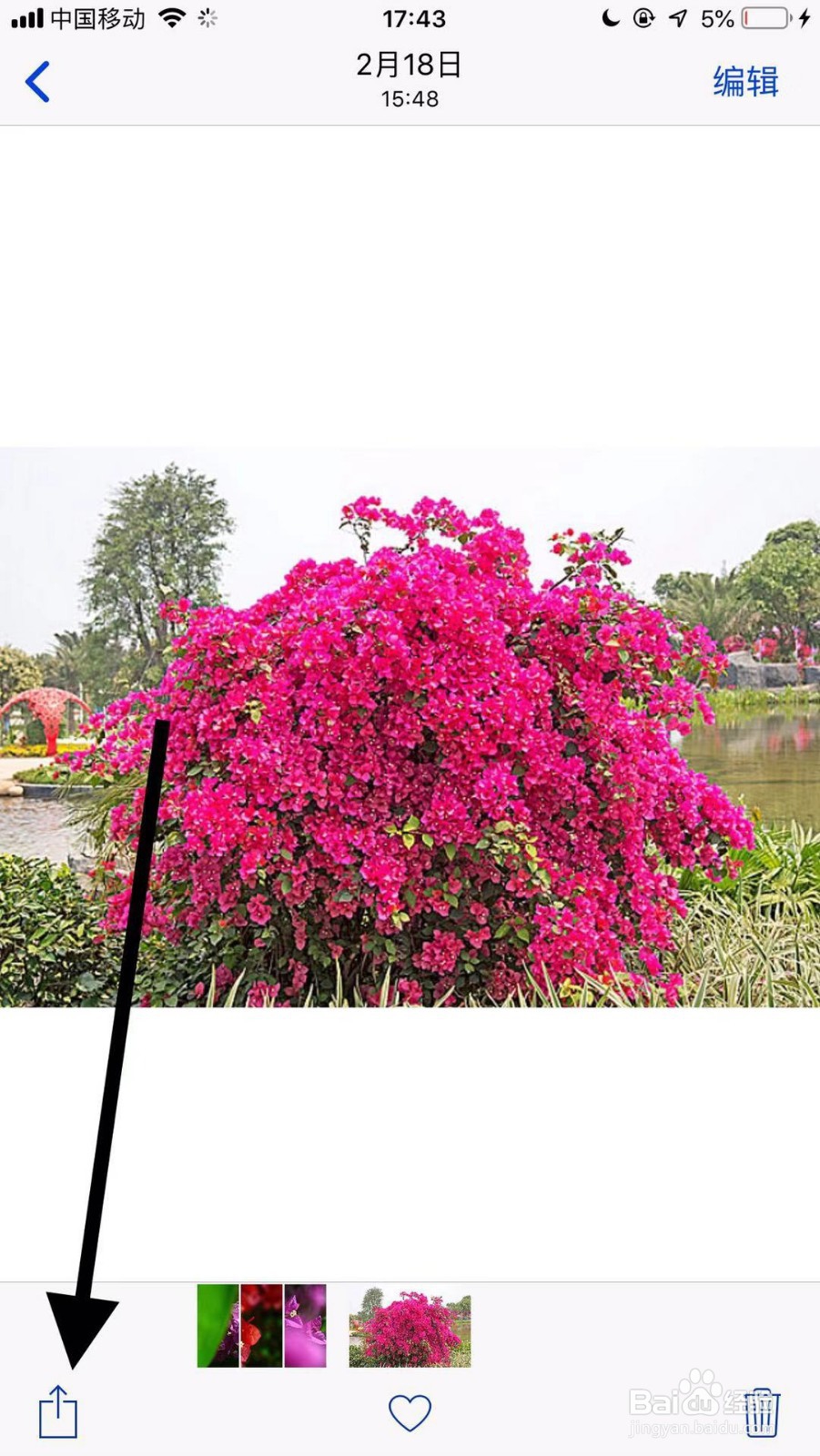 苹果手机怎么隐藏照片，iphone如何给相册加密