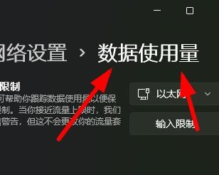 Windows11如何限制数据的输入