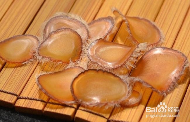 鹿茸膏的功效与作用及食用方法