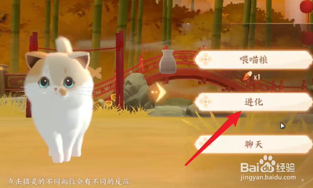 忘川风华录怎么进化名士猫