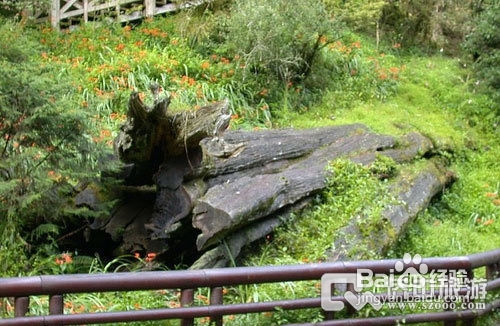 <b>台湾旅游有哪些景点/台湾六大最佳旅游景点介绍</b>