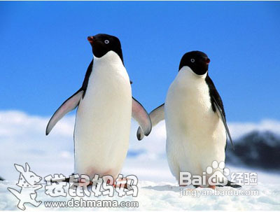 企鹅拼图---儿童益智游戏