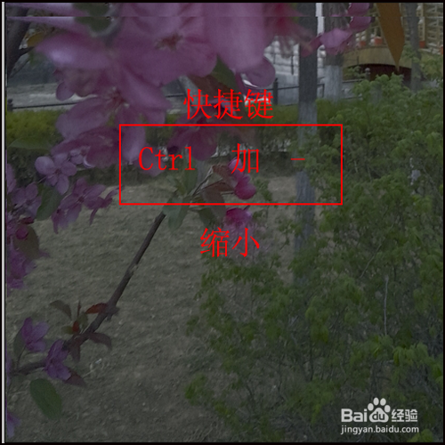 PS怎样改变图像显示大小的3种方法