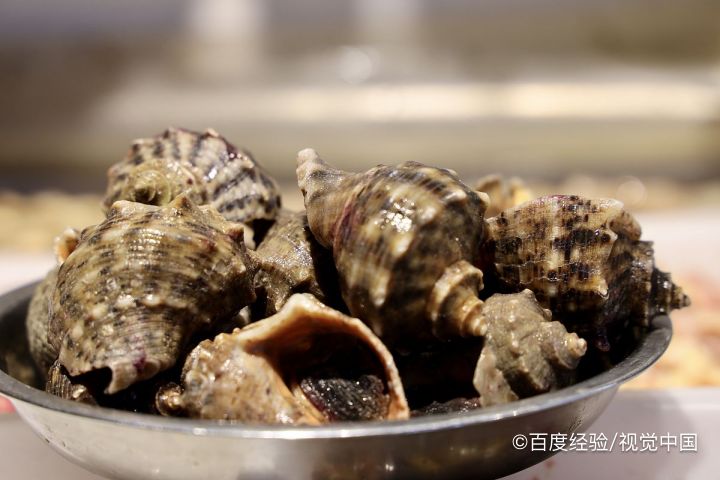 夏季很多人爱吃海螺以下哪种螺千万不要吃