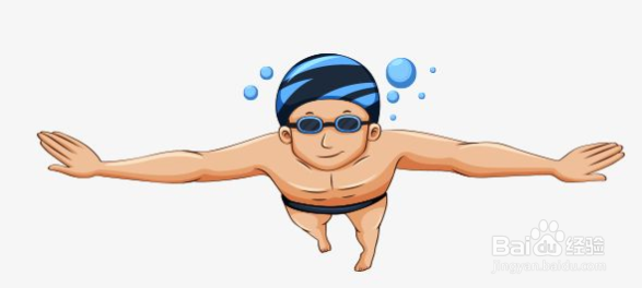 自由泳动作要领有哪些?