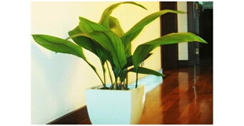 潮人套系之深圳装修注意事项