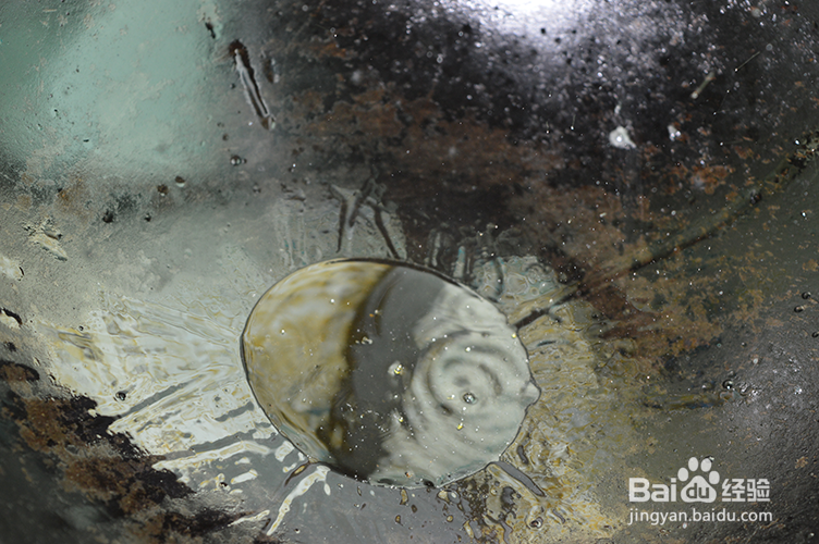 怎么做香辣海螺？