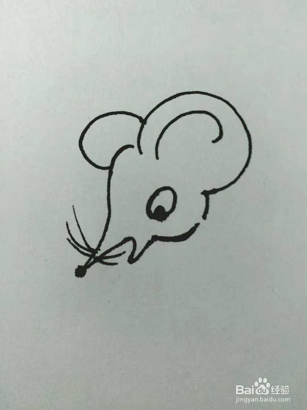 老鼠的简笔画法3