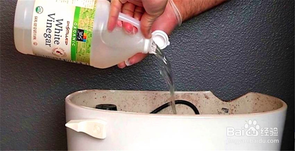 马桶水箱水垢清除妙招
