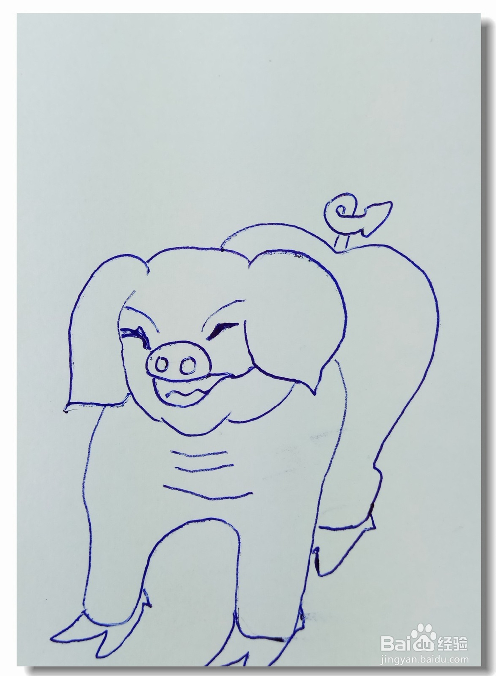 怎样画简笔画“猪年画猪”？