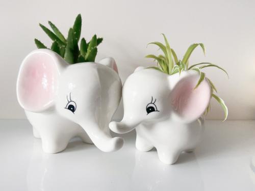 4种有格调的家居小摆件,精致小资生活需要它