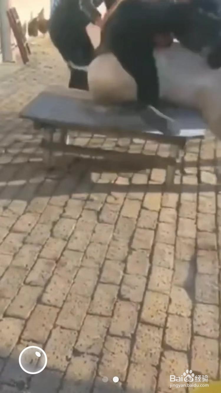 微信泡泡视频删除