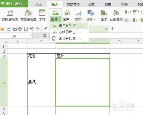 excel表格图片怎么嵌入