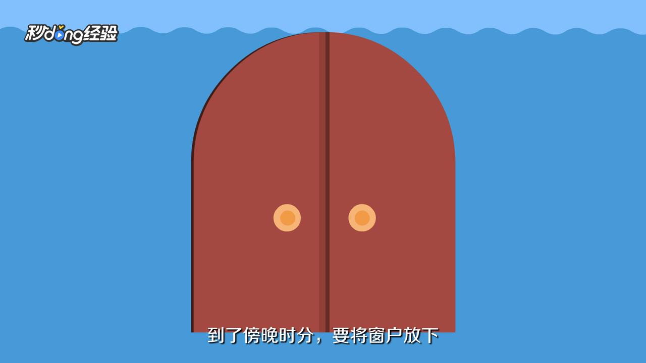 普通小鹦鹉怎么养