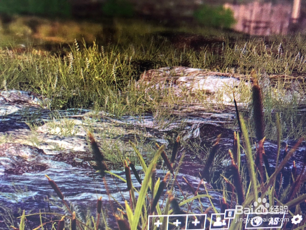 吃鸡怎么玩国服