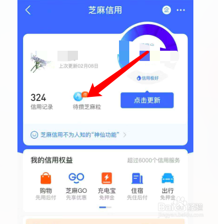 支付宝信用分图片2021图片