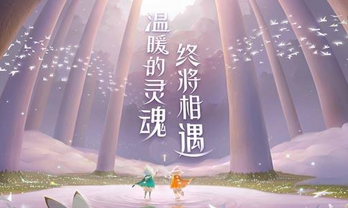 光遇乐谱软件为什么没有琴谱