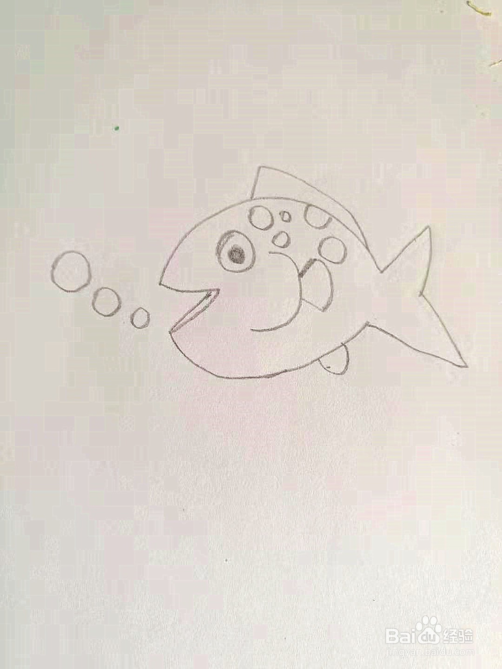 幼儿园简笔画教程：小鱼
