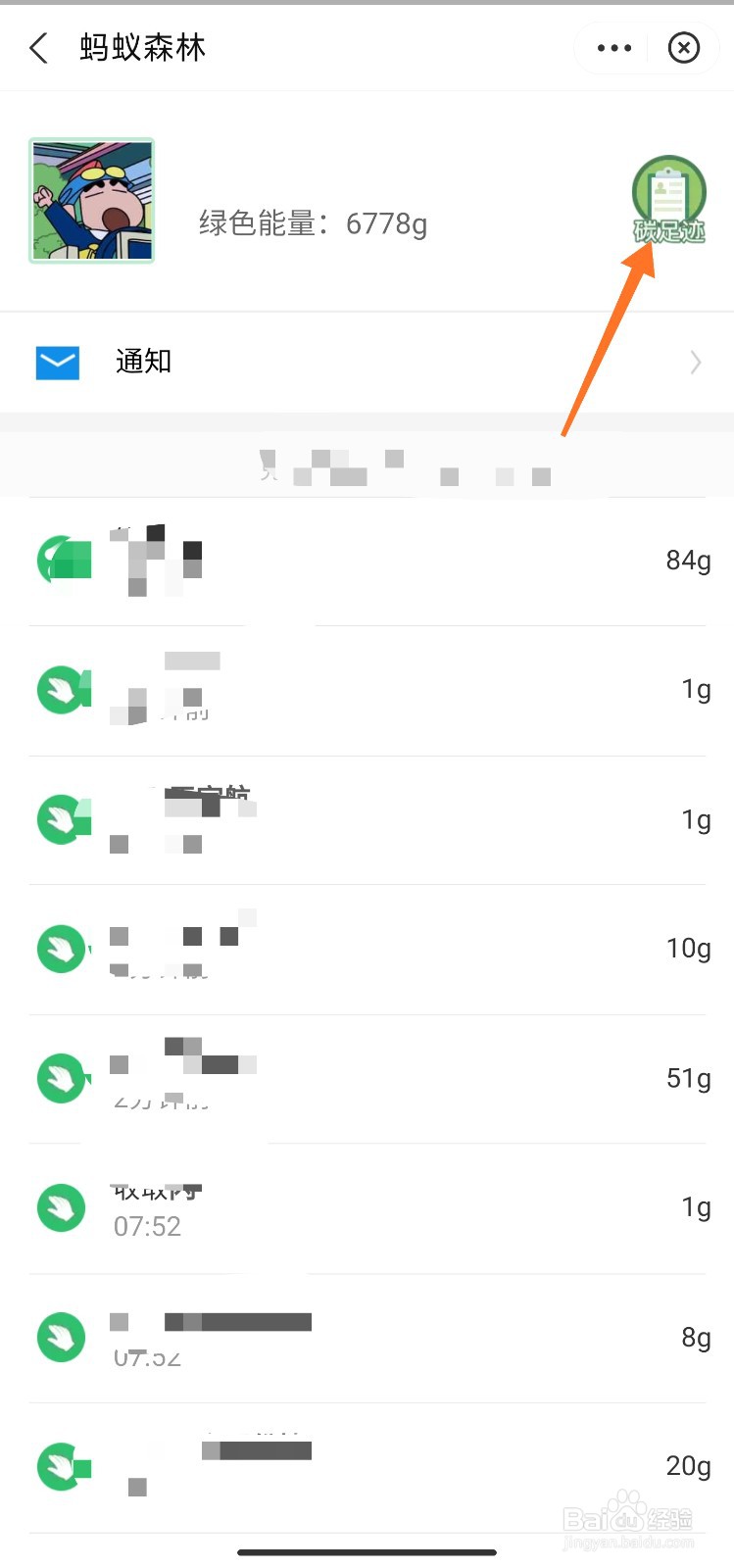 蚂蚁森林个人碳足迹怎么看