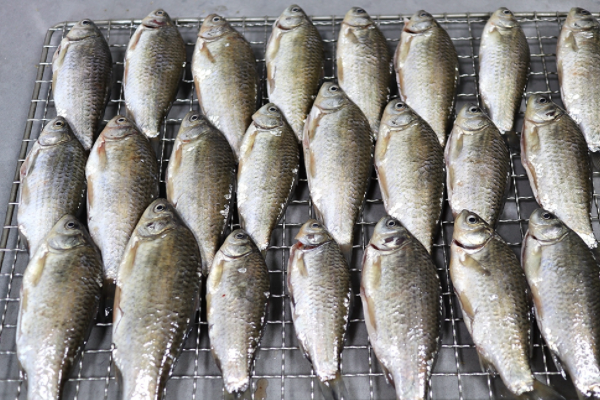 鲫鱼豆腐汤怎么炖好喝又营养