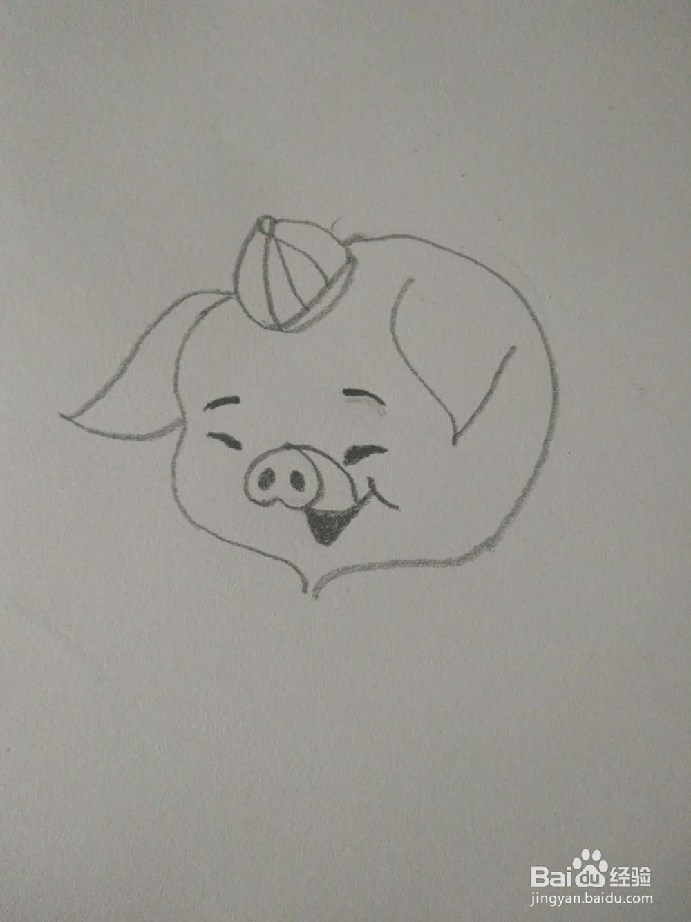 简笔画-如何画金猪拜年?