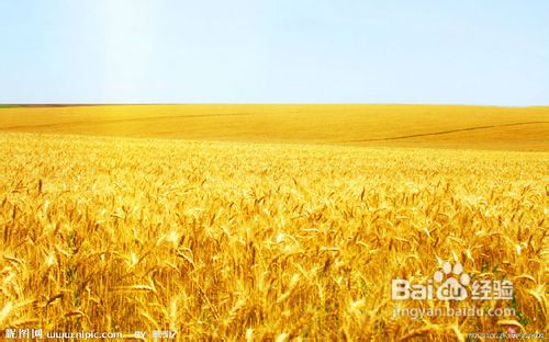 养生宝典[2]秋季养生宜“四戒”